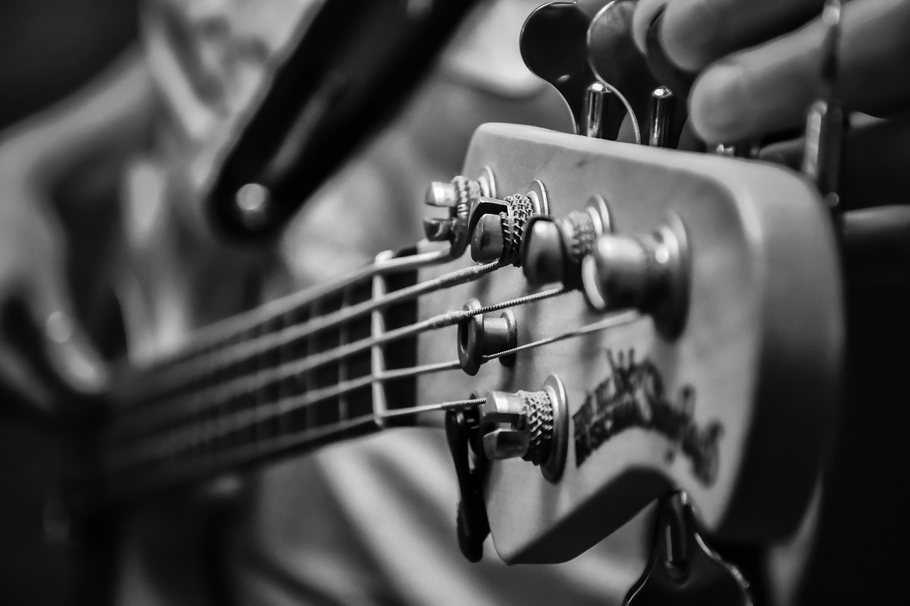 music, bass, electric bass-2149880.jpg